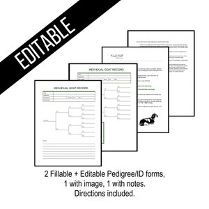 Goat Pedigree/ID form, fillable form, editable, type in fields, printable image 6
