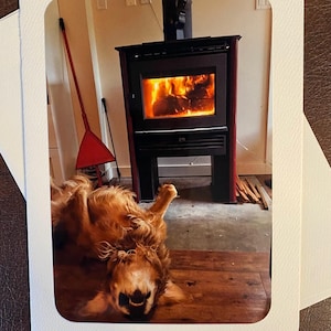 Carte d'anniversaire Golden Retriever relaxante par le feu pour les amoureux des chiens