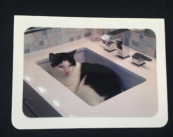 Cheeky Cat in Sink Funny Pet Birthday Card for Cat Lovers