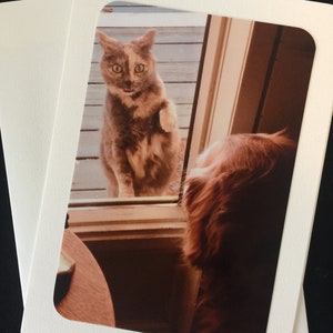 Divertida tarjeta de cumpleaños de gato y perro para amantes de las mascotas