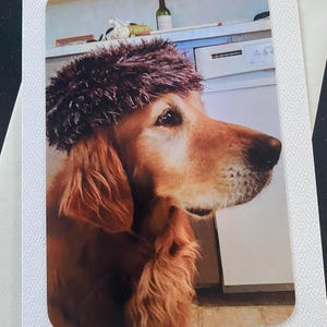 Tarjeta de cumpleaños divertida para amantes de los perros con un golden retriever con sombrero