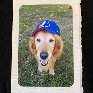 Bonita tarjeta de cumpleaños hecha a mano con un golden retriever para fanáticos del béisbol