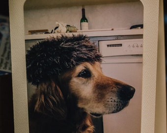 Retriever in Russian Hat photo greeting card