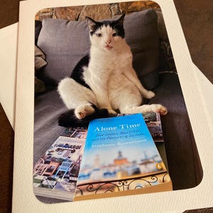 Carte d'anniversaire chat comique pour les amoureux des chats qui apprécient la solitude