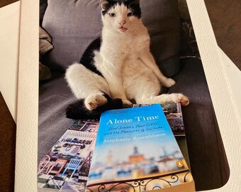 Comical Cat Birthday Card for Cat Lovers Who Appreciate Solitude