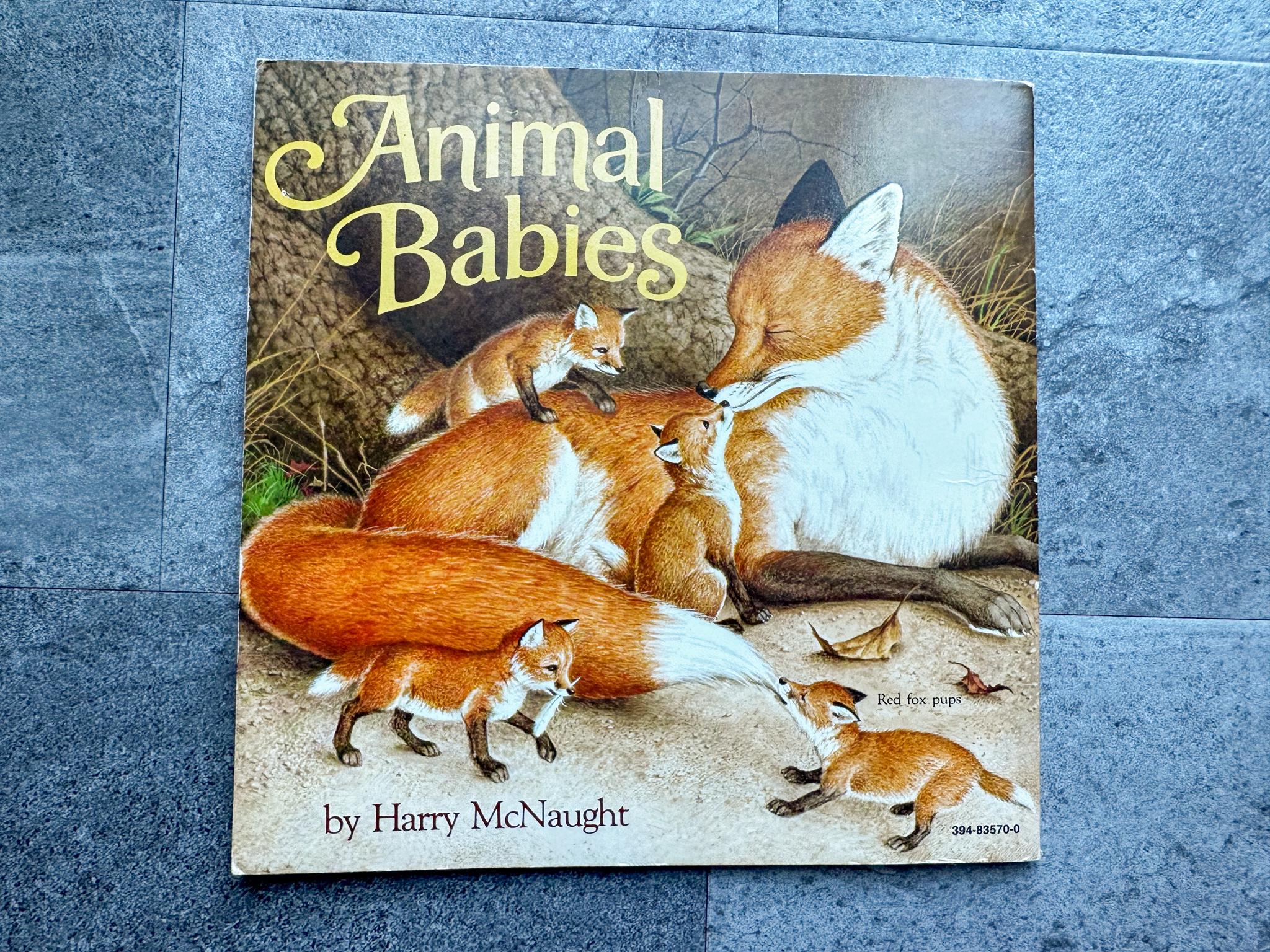 Vintage 1977 Animal Babies Harry Mcnaught Random House Picturebook