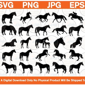 Op de afbeelding: Een verzameling van vijfentwintig zwarte paardensilhouetten in verschillende houdingen, waaronder staand, rennend, springend en grazend. De afbeelding bevat de tekst SVG, PNG, JPG, EPS bovenaan en This Is A Digital Download Only No Physical Product Will Be Shipped To You onderaan.