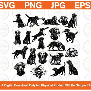 May include: A collection of twenty black and white graphic illustrations featuring Labrador Retriever dogs in various poses, including sitting, running, swimming, and playing with toys, presented as a digital file set with SVG, PNG, JPG, and EPS labels.