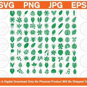 May include: A digital collection of green botanical illustrations featuring various leaf shapes and plant silhouettes arranged in a grid. The top banner displays the text SVG, PNG, JPG, EPS, and the bottom states This Is A Digital Download Only.