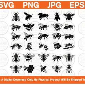 Op de afbeelding: Een digitale collectie van zwarte bijensilhouetten in diverse houdingen, waaronder vliegende, rustende en bijen op bloemen of honingraten. De bovenste banner toont SVG, PNG, JPG, EPS en onderaan staat This Is A Digital Download Only No Physical Product Will Be Shipped To You.