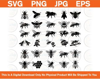 Paquete de siluetas de abejas / Imágenes prediseñadas vectoriales de abejas en formato SVG, EPS, PNG y JPG