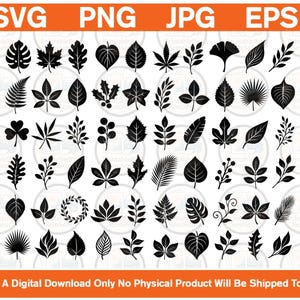 Op de afbeelding: Een verzameling zwarte silhouetpictogrammen met diverse botanische vormen, waaronder bladeren, varens en takken gerangschikt in een raster. De bovenste banner toont de tekst SVG, PNG, JPG, EPS en de onderste banner vermeldt This Is A Digital Download Only No Physical Product Will Be Shipped To You.