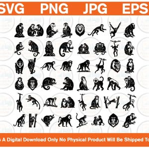 May include: A digital collection of black monkey silhouettes in various poses, including sitting, climbing, and hanging. The image features text at the top reading SVG, PNG, JPG, EPS and at the bottom reading This Is A Digital Download Only No Physical Product Will Be Shipped To You.