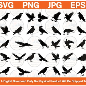 May include: A digital collection of black raven silhouettes in various poses, including flying, perched, and landing. The image features the text SVG, PNG, JPG, EPS at the top and This Is A Digital Download Only No Physical Product Will Be Shipped To You at the bottom.