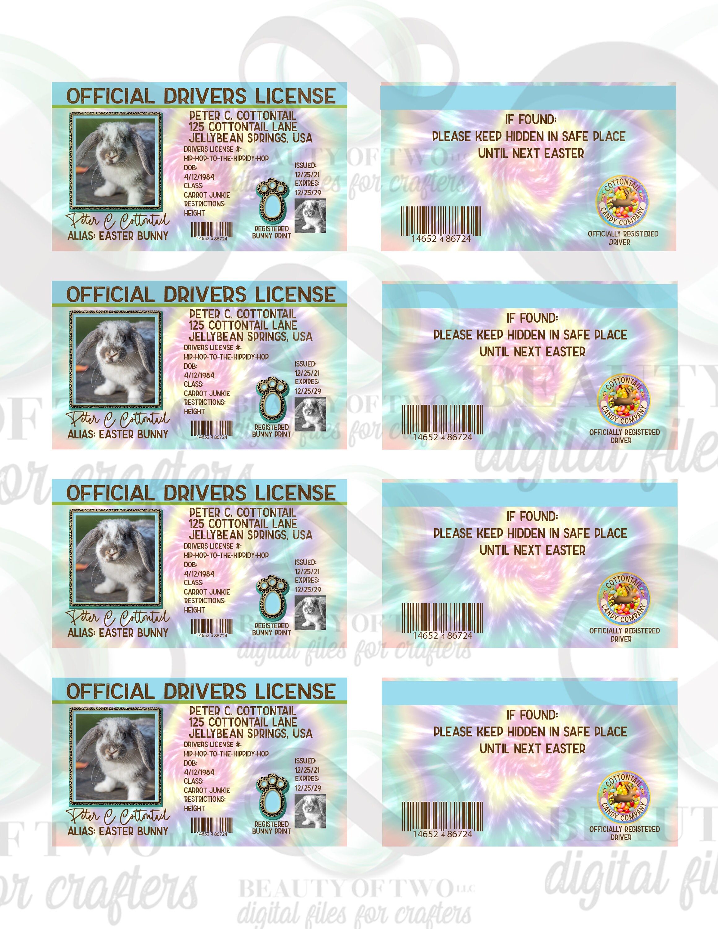 Easter Bunny Drivers License Printables 2 Full Sheet 8.5in Etsy Hong Kong