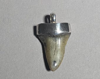 Fossil Mako shark tooth pendant Isurus hastalis South Carolina in 925 silver Tribal Spirit Schmuckrausch Vintage 0083