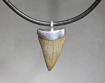 Mako shark tooth pendant, 925 sterling silver, black leather strap, Schmuckrausch vintage 1817