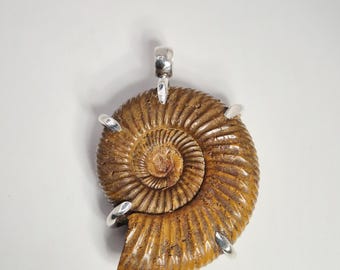 Large Ammonite Pendant Cleoniceras Fossil Silver 925 Madagascar – Schmuckrausch Vintage 1299