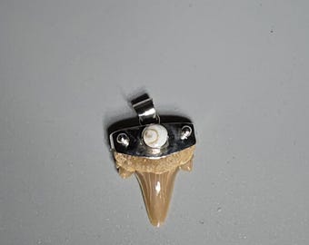 Fossil shark tooth pendant, 925 silver, Otodus with Shiva eye, Morocco, Schmuckrausch Vintage 1037