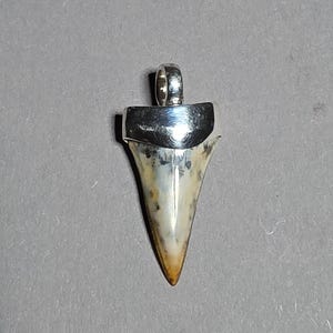 Puede incluir: Un colgante que presenta un diente de tiburón fosilizado con una superficie moteada en tonos crema y marrón, rematado con una anilla de metal plateado pulido en la parte superior. El diente tiene forma triangular con una punta afilada.