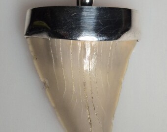 Fossil shark tooth pendant – Otodus obliquus – approx. 60 million years old – Morocco – 925 silver – Tribal Spirit – unique piece 1715