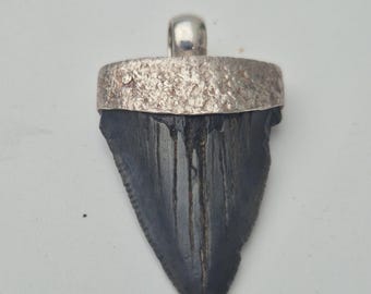 Megalodon Tooth Fossil • South Carolina • Baby Shark Tooth • 925 Silver Hammered Vintage • Shark Tooth Pendant Gray (1434)