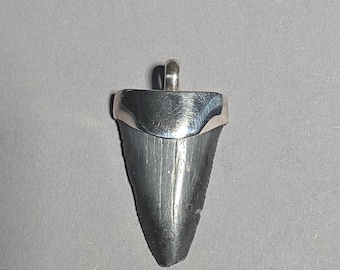 Juvenile Megalodon Shark Tooth Pendant South Carolina 925 Silver Tribal Spirit Fossil Jewelry 1480