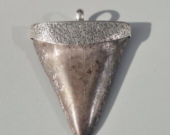 Mako shark pendant – Fossil shark tooth South Carolina, silver 925, 57 mm, 24.97 g, brown natural color – Schmuckrausch Vintage 1913