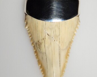 Large fossil shark tooth pendant · Palaeocarcharodon orientalis · 60 million years old · Morocco · 925 silver · Tribal Spirit · Unique piece I 1705