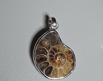 Cleoniceras Ammonite Pendant 925 Silver Madagascar Fibonacci Spiral Fossil Pendant Jewelry Rush Vintage 1759