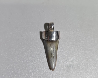 Vintage Mako Shark Tooth Pendant in Sterling Silver | South Carolina Fossil | Surfer Jewelry | Tribal Spirit I TS1663