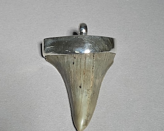 Fossil Megalodon Tooth Pendant – 925 Silver – Tribal Spirit – North Carolina USA – Schmuckrausch Vintage 0033