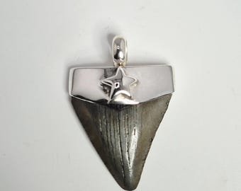 Megalodon Tooth Pendant Fossil Shark Tooth Silver 925 South Carolina – Schmuckrausch Vintage 0175