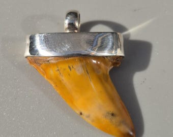 Mako shark pendant (Carcharodon planus) – Fossil shark tooth California, Sharktooth Hill, silver 925, 33 mm, 5.3 g – Schmuckrausch Vintage
