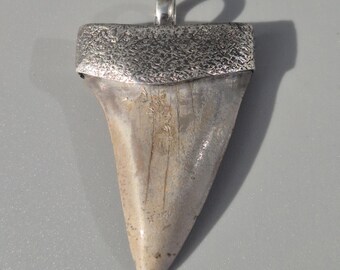 Mako shark pendant – Fossil shark tooth South Carolina, 925 silver, 51 mm, 12.96 g, natural – Schmuckrausch Vintage 1885