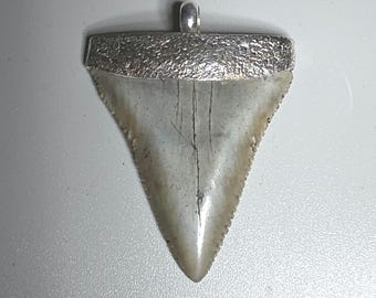 Great White Shark Tooth Pendant, 925 Silver, Peace River USA, Schmuckrausch Vintage 1181
