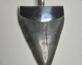 Pendant Silver 925 Carcharodon carcharias White Ha USA Unique 500