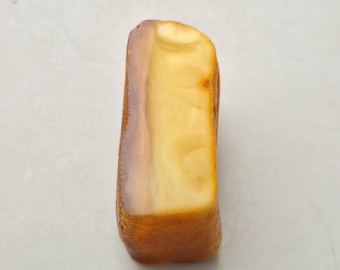 Amber 15.3g with bark imprint & patina goldsmith's estate rectangular