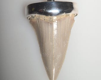 Fossil shark tooth pendant – Otodus obliquus – Morocco – approx. 60 million years old – 925 silver – Tribal Spirit – unique piece 1711