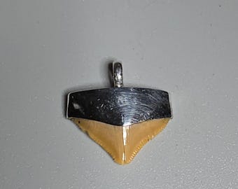 Fossil Squalicorax Shark Tooth Pendant 925 Silver Khouribga Morocco Shark Tooth Pendant Diver Fossil Jewelry Rush Vintage 1612