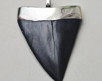 Black fossil shark tooth pendant • Mako shark (Isurus hastalis) • North Carolina • 925 silver • Tribal Spirit unique piece 1493