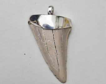 Otodus obliquus shark tooth pendant • Fossilized • 925 silver • Morocco • approx. 60 million years old • Tribal Spirit Fossil Jewelry • 1489