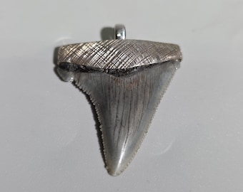 Vintage Megalodon Shark Tooth Pendant in Sterling Silver | South Carolina Fossil | Surfer Jewelry | Tribal Spirit I SR1784