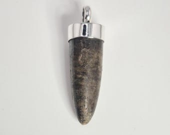 Belemnite pendant Fossil Rügen 925 silver set Belemnite Silverreed Vintage fossil jewelry 0198