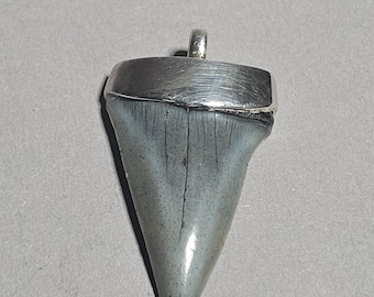 Fossil Mako Shark Tooth Pendant Isurus hastalis South Carolina 925 Silver Tribal Spirit Blue Grey Schmuckrausch Vintage 1226