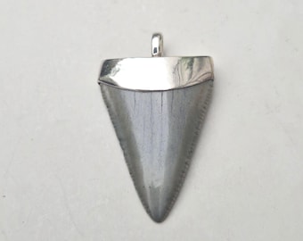 Great White Shark Tooth Pendant Silver 925 • Carcharodon carcharias Fossil • South Carolina • Beautiful Teeth • Tribal Spirit • 1529