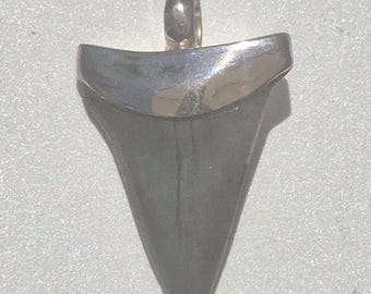 Perfect shark tooth pendant silver 36 mm Mako shark Isurus hastalis fossil South Carolina Tribal Spirit 925 hallmarked unique fossil (1408)
