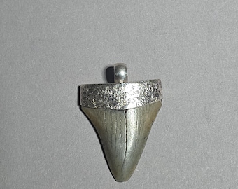Baby Megalodon Shark Tooth Pendant South Carolina 925 Silver Hammered Finish Fossil Jewelry 0087