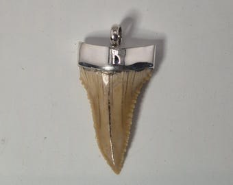 Fossil shark tooth pendant Palaeocarcharodon orientalis in 925 silver Tribal Spirit Schmuckrausch Vintage 1956