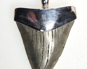 Baby Megalodon – Fossil Shark Tooth Pendant – Silver 925 – Tribal Spirit – Unique Piece – 37mm – Unique with 1735